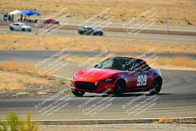 media/Sep-08-2024-VIP Trackdays (Sun) [[e20bd699b9]]/B Group/Session 2-Turns 4 and 6/